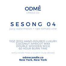 Load image into Gallery viewer, Cusco - ODMÉ Candle Co.